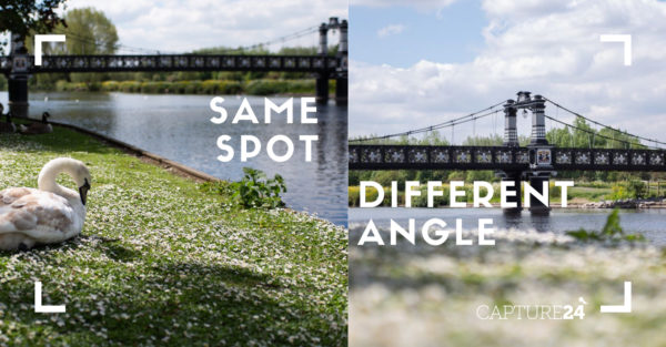 Picture of a bridge at different angles.