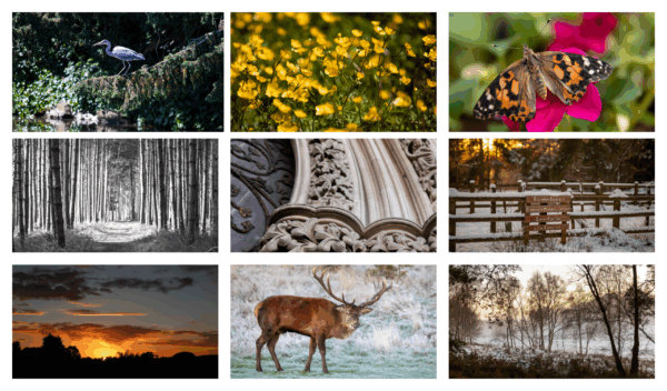 Images of local landscapes and wildlife